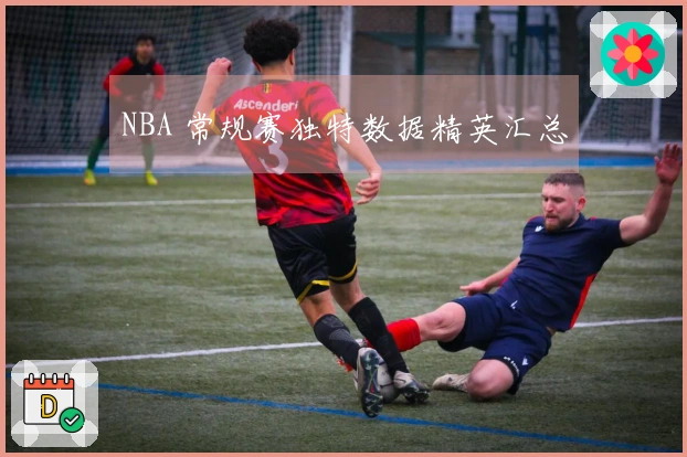 NBA 常规赛独特数据精英汇总