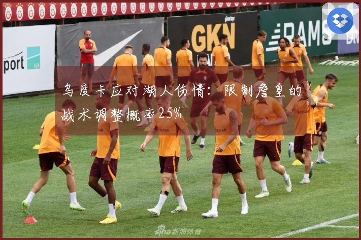 乌度卡应对湖人伤情：限制詹皇的战术调整概率25%